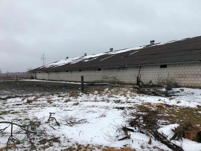 Syndyk sprzeda grunty rolne i budynek