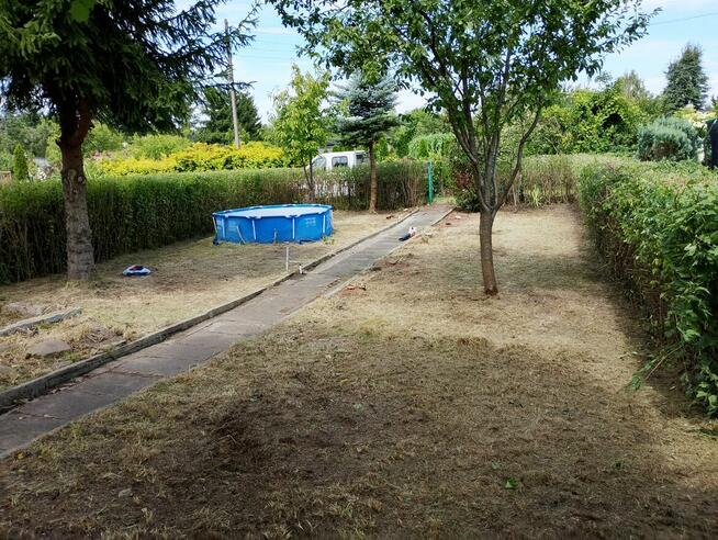 Czyszczenie karczowanie uporządkowanie działek ogrodów