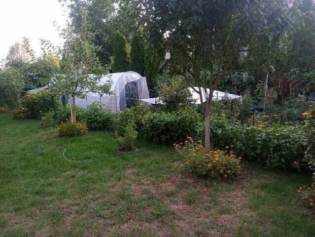 Sprzedam dom wolnostojący w Tluszczu