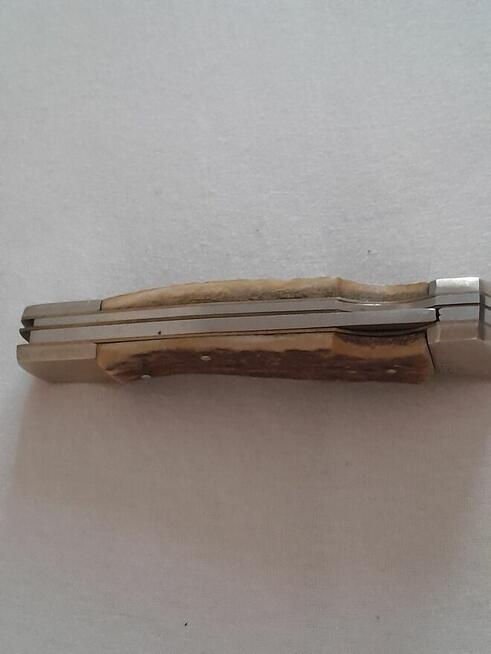 Nóż w rogowej oprawie dla konesera