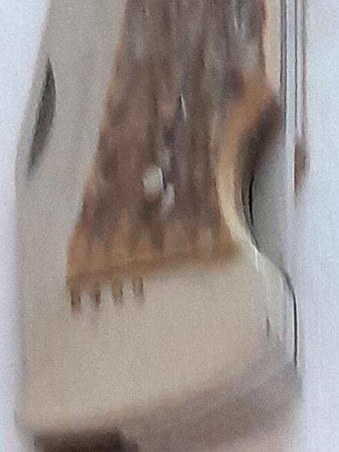 Nóż w rogowej oprawie dla konesera