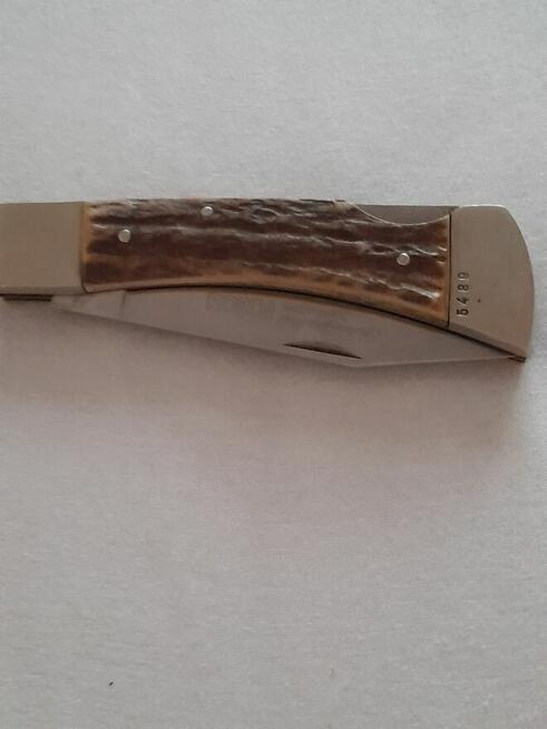 Nóż w rogowej oprawie dla konesera