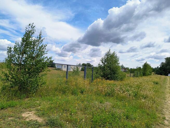 Działka rekreacyjna z domkiem holenderskim i WZ, Głodowo