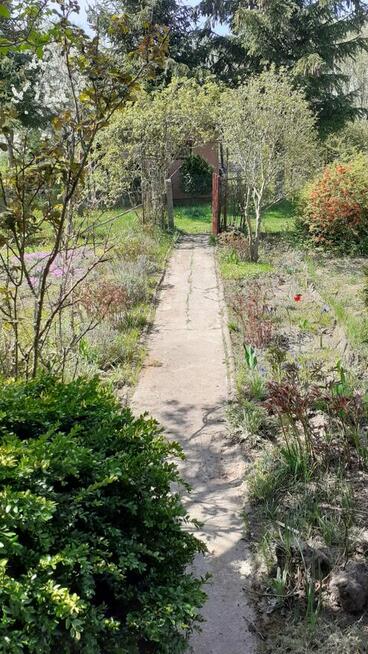 Działka ROD Szczecin