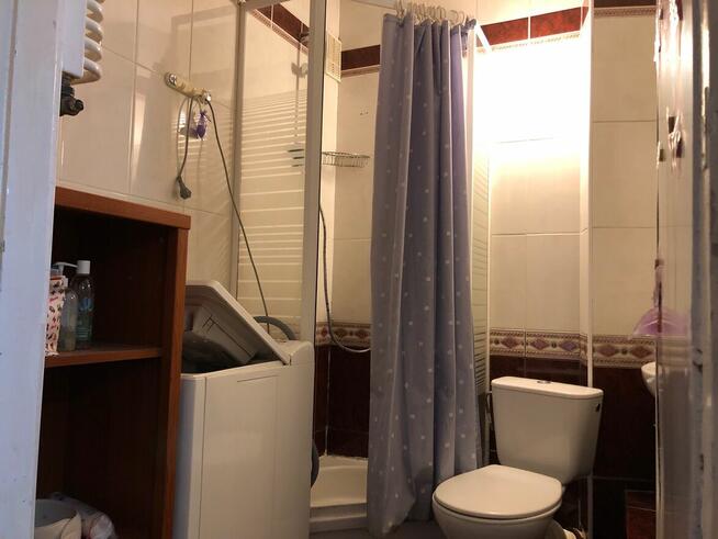 Poznań 3 pok przy Uniwersytecie Przyrodniczym od 01.10.25