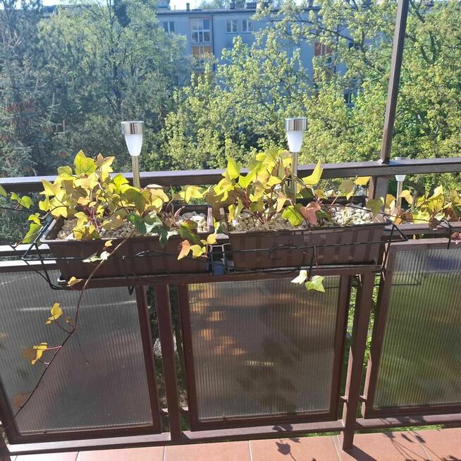 Uchwyt / Wieszak na Balkon Classic antracyt 85 cm.