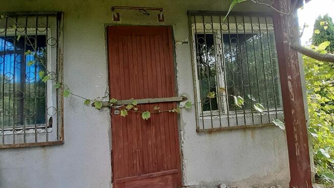 Działka ROD Szczecin