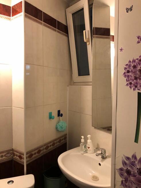 Poznań 3 pok przy Uniwersytecie Przyrodniczym od 01.10.25