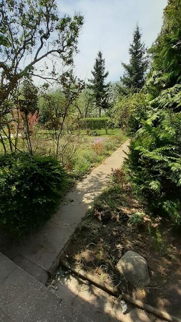 Działka ROD Szczecin