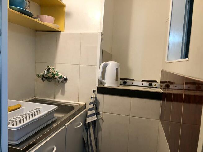 Poznań 3 pok przy Uniwersytecie Przyrodniczym od 01.10.25