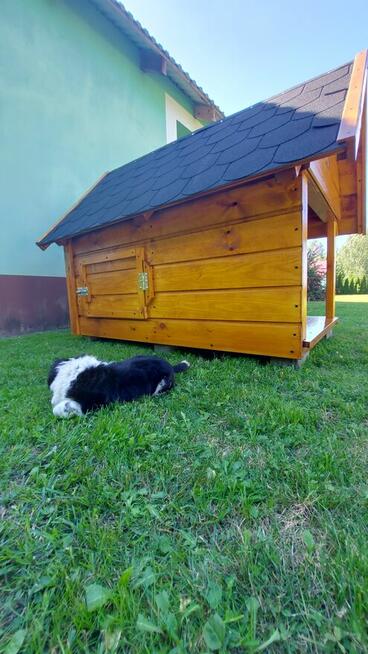 Buda Dla Psa Z Tarasem