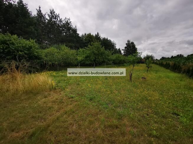 OgrodzonaDziałka budowlana z nasadzeniami i prądem