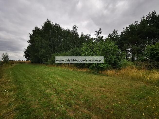 OgrodzonaDziałka budowlana z nasadzeniami i prądem