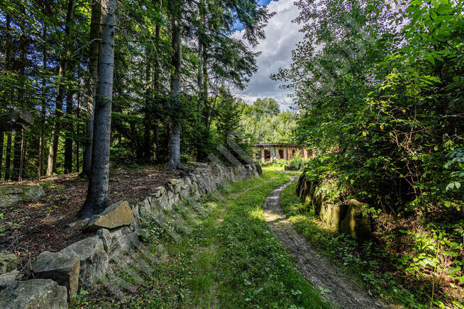 Pcim - 1,32 ha blisko natury, wysoki potencjał!