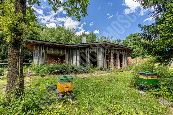 Pcim - 1,32 ha blisko natury, wysoki potencjał!