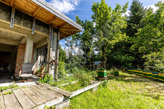 Pcim - 1,32 ha blisko natury, wysoki potencjał!