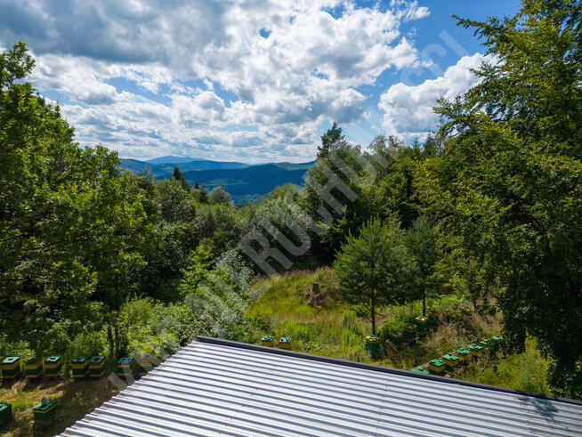 Pcim - 1,32 ha blisko natury, wysoki potencjał!