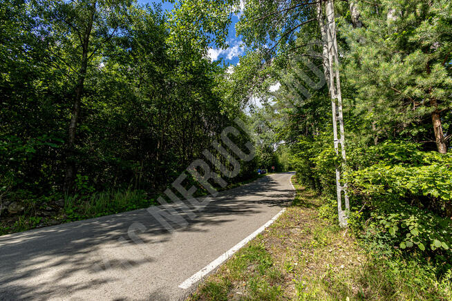 Pcim - 1,32 ha blisko natury, wysoki potencjał!