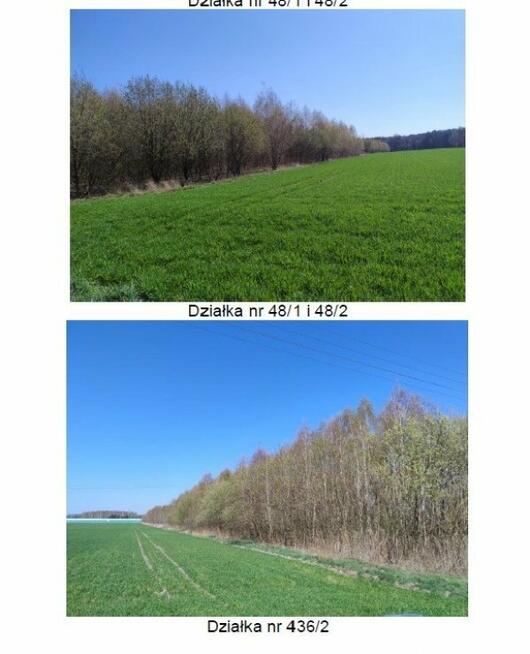 Działka Lubowidza