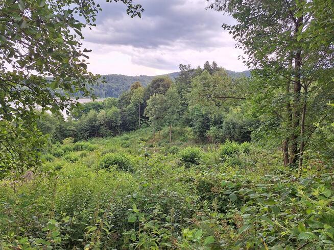 Działka nad Jeziorem Mucharskim