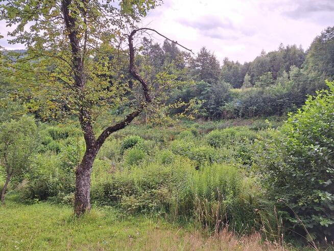 Działka nad Jeziorem Mucharskim