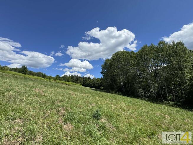Działka budowlana Paleśnica gm. Zakliczyn