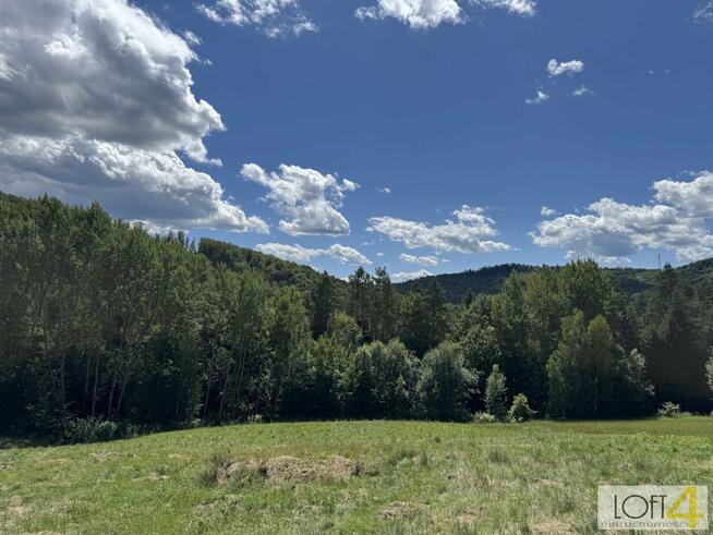 Działka budowlana Paleśnica gm. Zakliczyn