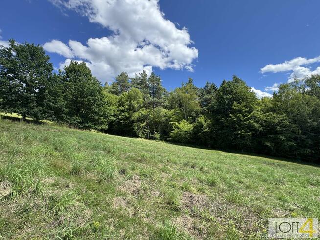 Działka budowlana Paleśnica gm. Zakliczyn