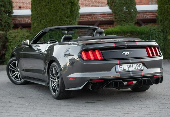 Ford Mustang Lift ! Cabrio 2.3i 317KM Super Stan ! Zarejestrowany !