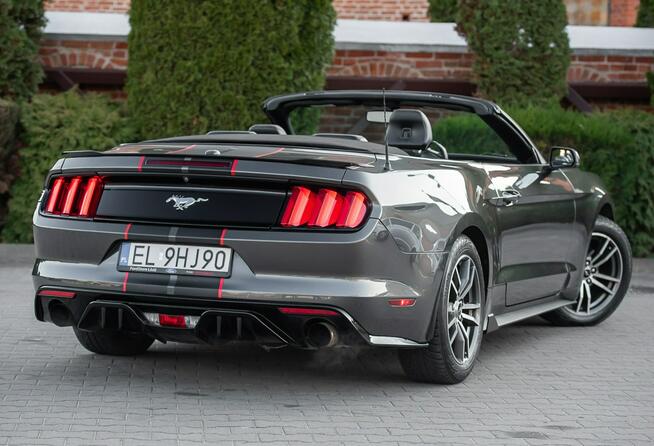 Ford Mustang Lift ! Cabrio 2.3i 317KM Super Stan ! Zarejestrowany !