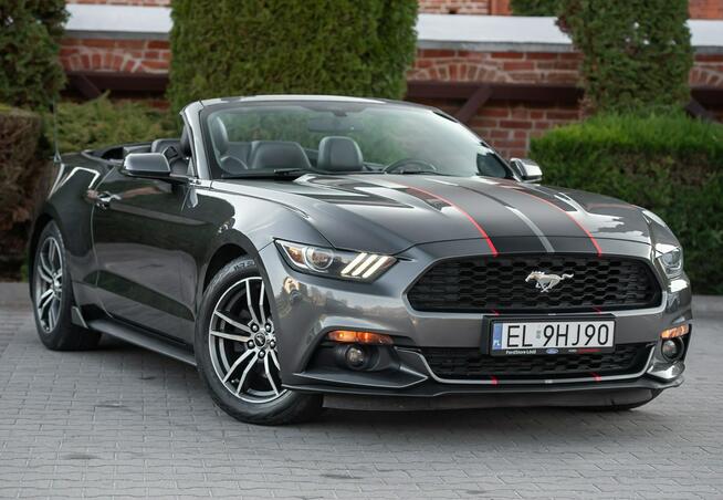 Ford Mustang Lift ! Cabrio 2.3i 317KM Super Stan ! Zarejestrowany !