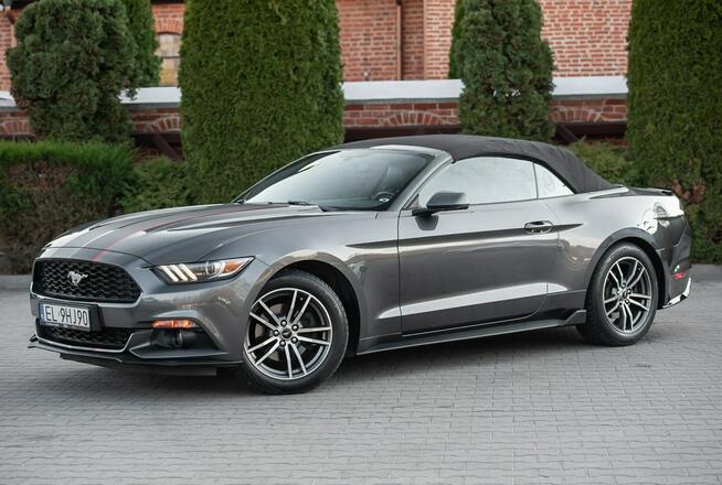 Ford Mustang Lift ! Cabrio 2.3i 317KM Super Stan ! Zarejestrowany !