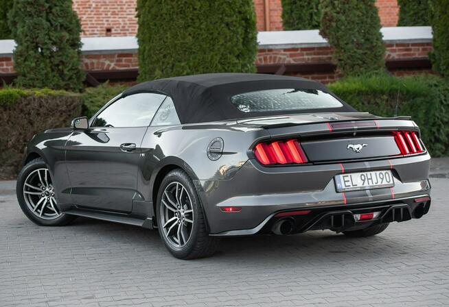 Ford Mustang Lift ! Cabrio 2.3i 317KM Super Stan ! Zarejestrowany !