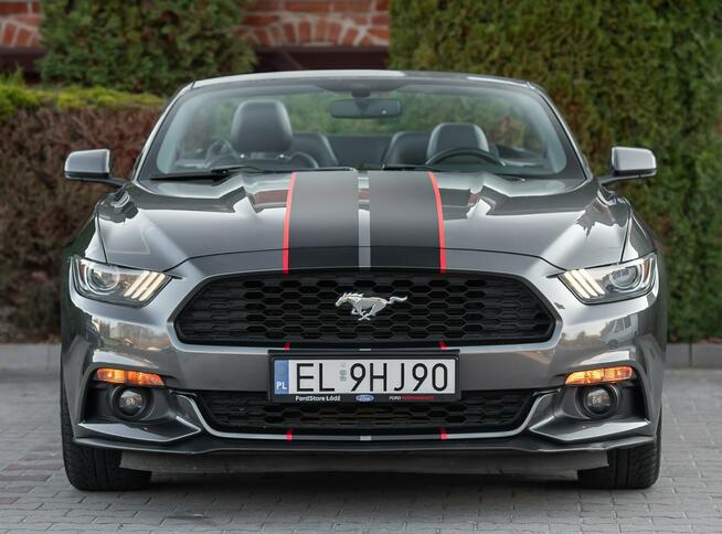 Ford Mustang Lift ! Cabrio 2.3i 317KM Super Stan ! Zarejestrowany !