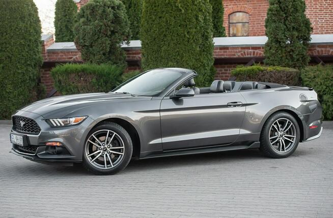 Ford Mustang Lift ! Cabrio 2.3i 317KM Super Stan ! Zarejestrowany !