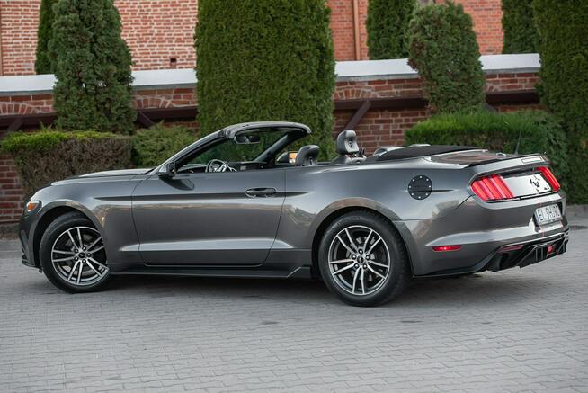 Ford Mustang Lift ! Cabrio 2.3i 317KM Super Stan ! Zarejestrowany !