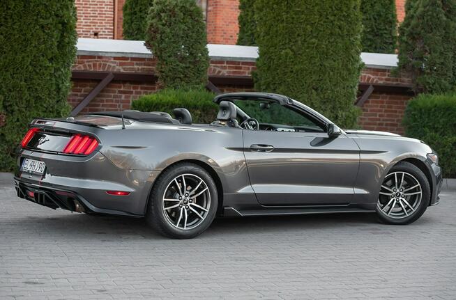 Ford Mustang Lift ! Cabrio 2.3i 317KM Super Stan ! Zarejestrowany !