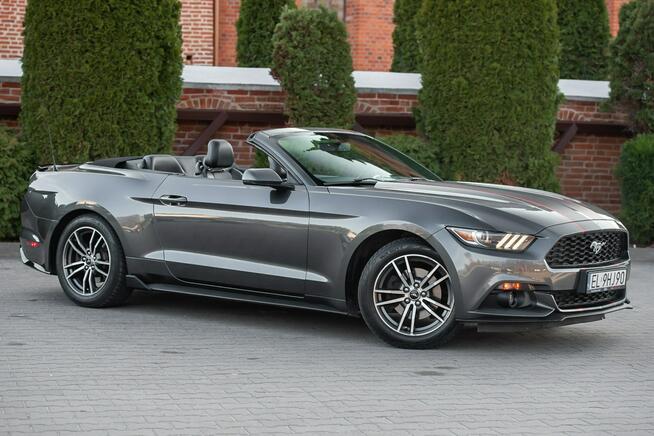 Ford Mustang Lift ! Cabrio 2.3i 317KM Super Stan ! Zarejestrowany !