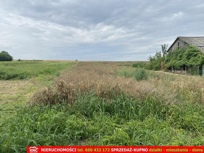 Siedlisko na wsi 35 km od Lublina.