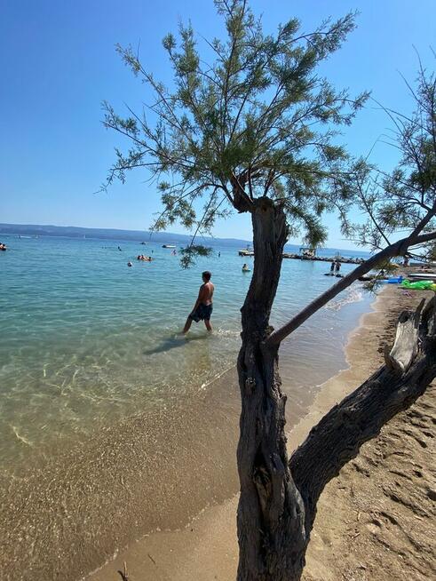 Szukam i może znajdę