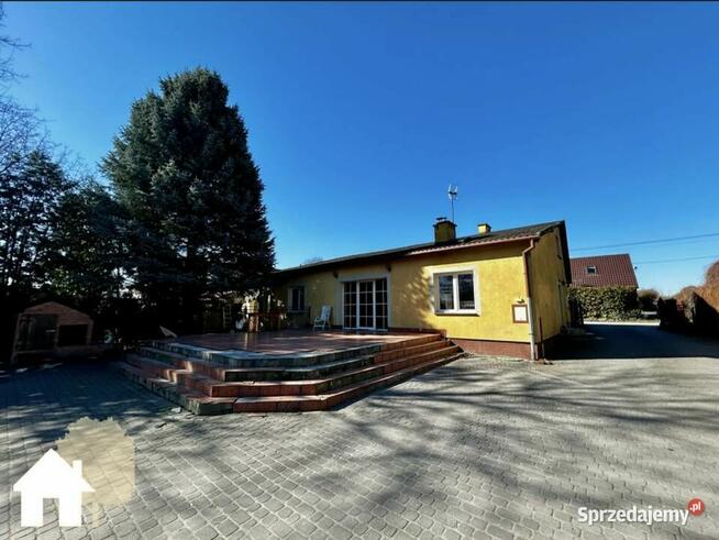 Krotoszyn | 2999 m2 | staw | wolne od zaraz