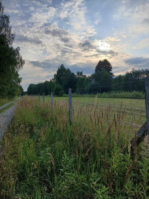 Chojnów działka budowlana