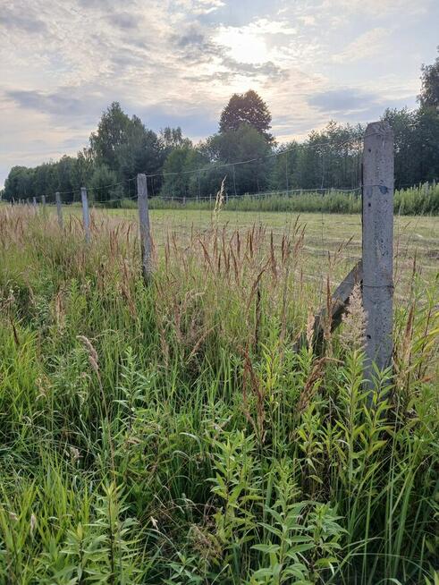 Chojnów działka budowlana