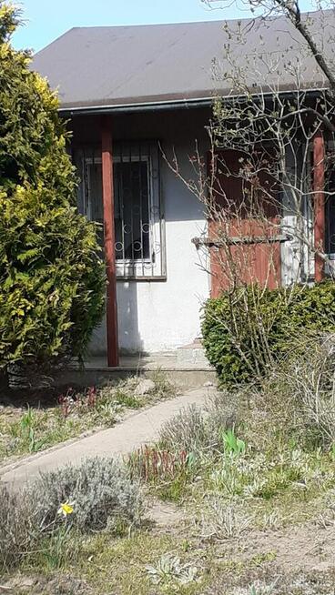 Działka ROD Szczecin