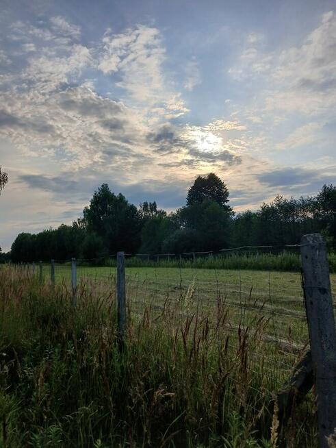 Chojnów działka budowlana