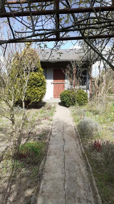 Działka ROD Szczecin