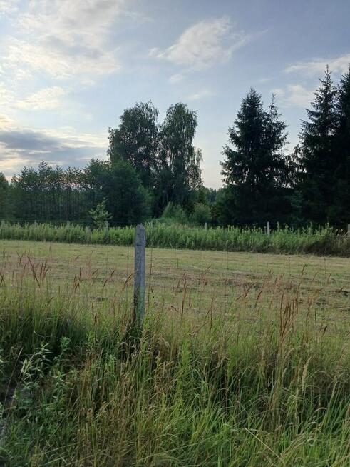 Chojnów działka budowlana