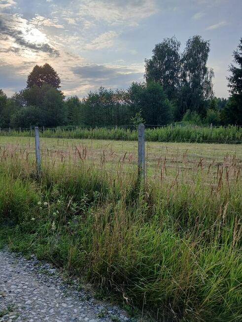 Chojnów działka budowlana