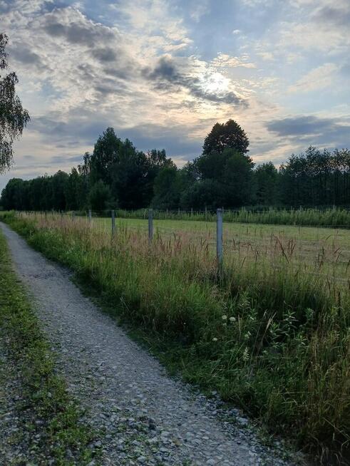 Chojnów działka budowlana