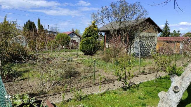 Działka ROD Szczecin